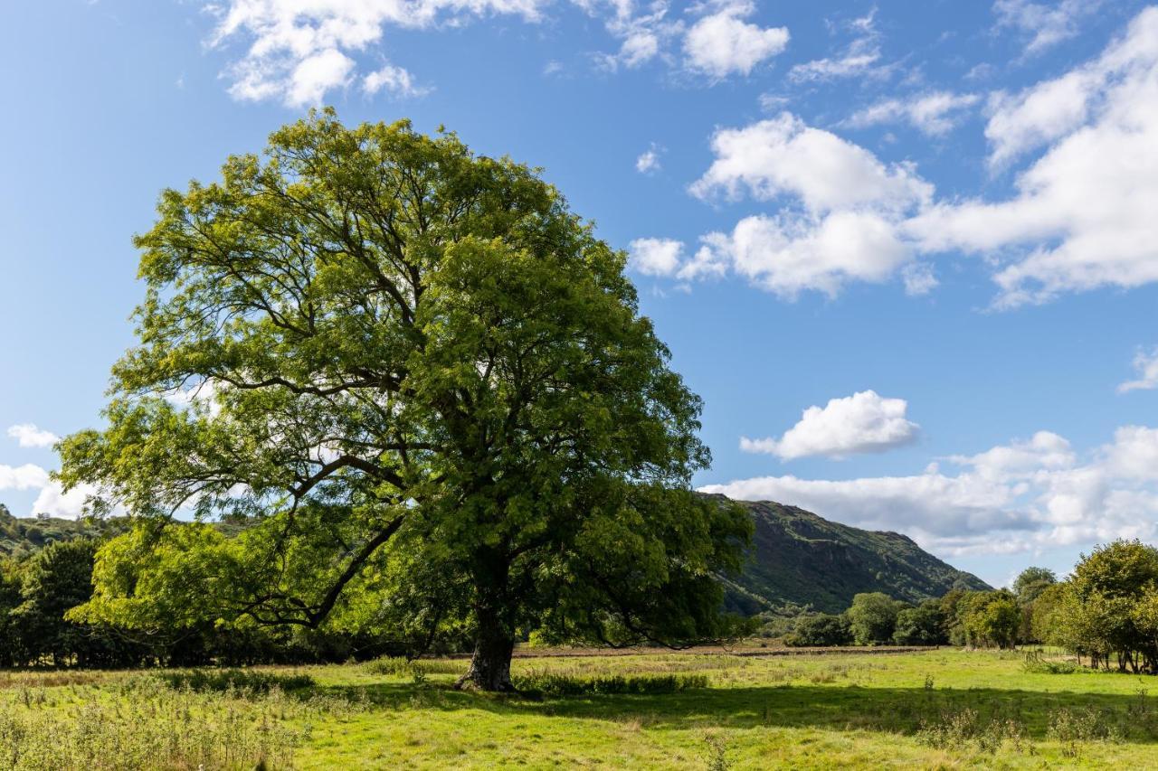 Bower House Inn Eskdale Bagian luar foto